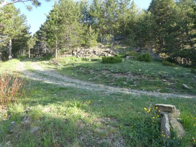 Croisement avant antenne