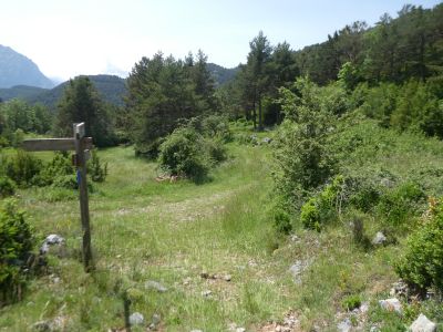 Croisement après départ 2