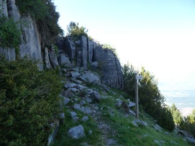 Croisement Faixaneta