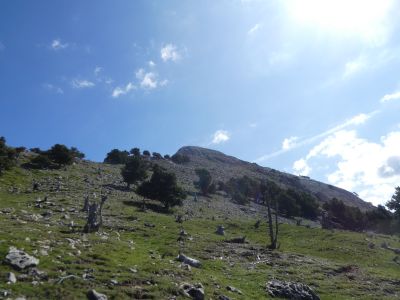 Vue descente Montañesa