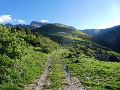 Croisement avant Abozo