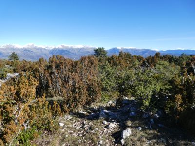Croisement sentier Portús