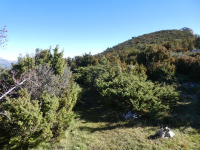 Croisement après Portús