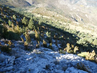 Croisement Nord-Est Avedoga