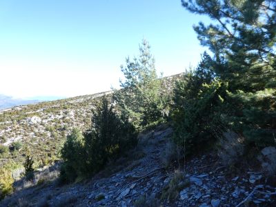 Fin descente Cova Avedoga