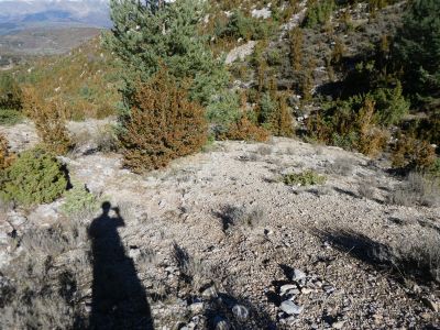 Croisement sentier Ferri