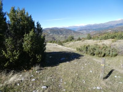 Croisement sentier Comallonga