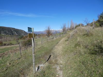 Croisement GR3 après Comallonga 2