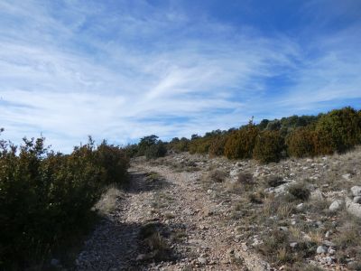 Croisement montée Cogulla