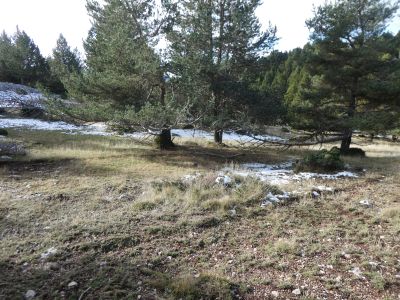 Croisement descente Boumort