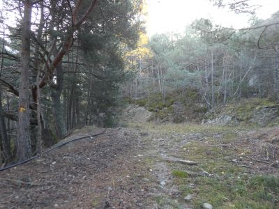 Croisement fin balisé Montesclado