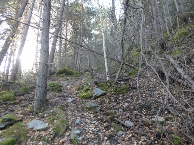 Vue montée Trescollo