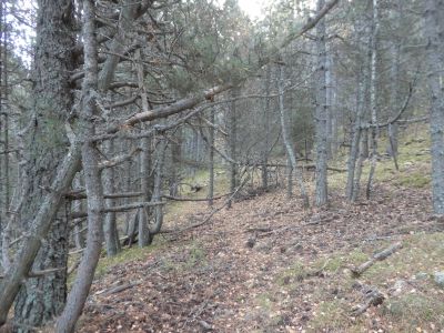 Croisement après Peregó 2