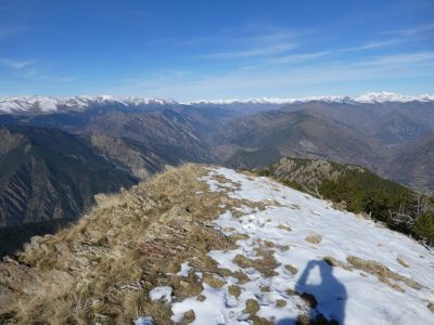 Descente