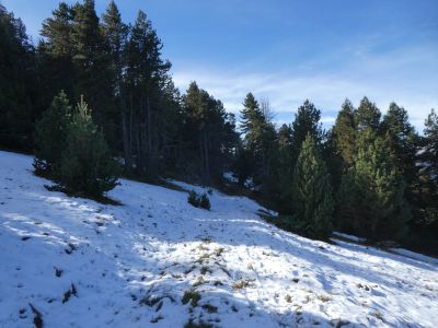 Croisement après Serelles