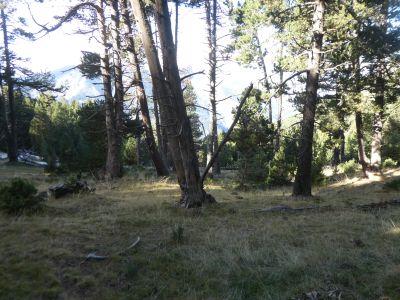 Vue descente Serelles