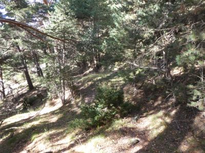 Croisement avant Solana