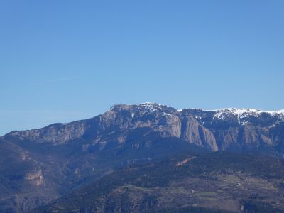 Vue Gallina Pelada