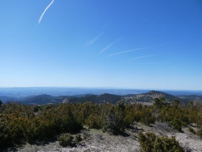 Vue Segarra 2