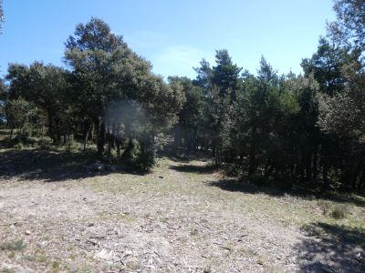 Croisement après Vilamala