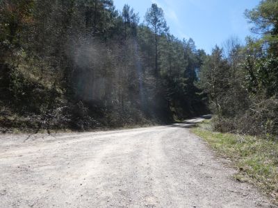 Croisement GR1 après Graudescales