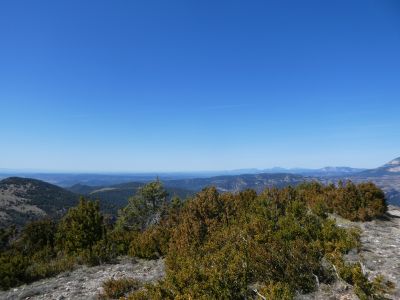 Vue Segarra