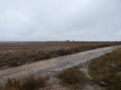 Croisement Espígol 2