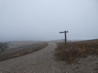 Croisement montée Almenara 2