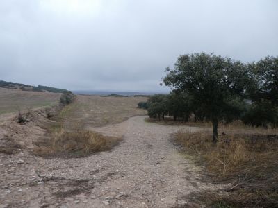 Croisement descente Almenara 3