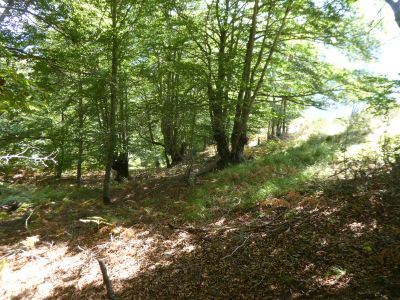 Vue descente Plansorda 5