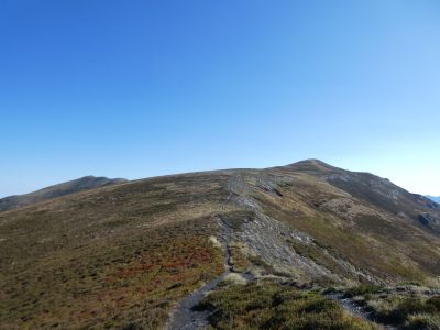 Vue montée Plan Ome