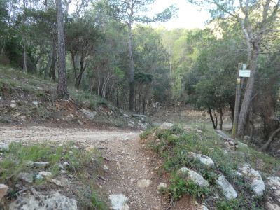 Croisement après Serralls