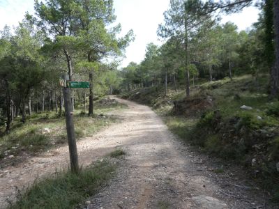 Croisement après Abellar