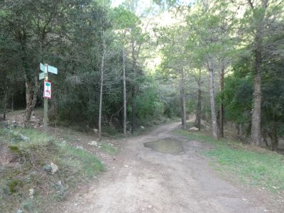 Croisement après Serralls 2