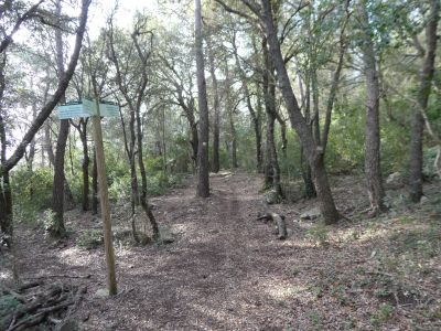 Croisement après Serralls 3