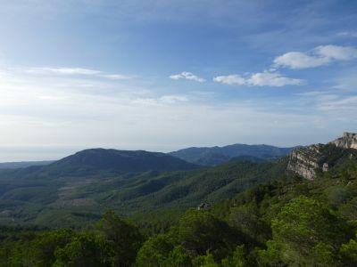 Vue Muntanyes Tivissa