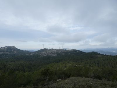 Vue Dedalts