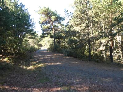 Croisement Cova Pere 2