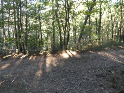 Croisement après Baltasana