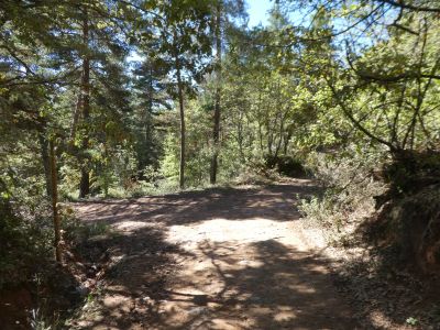 Croisement après Baltasana 2