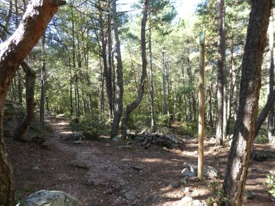 Croisement après Baltasana 3