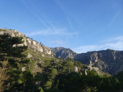 Vue Caro