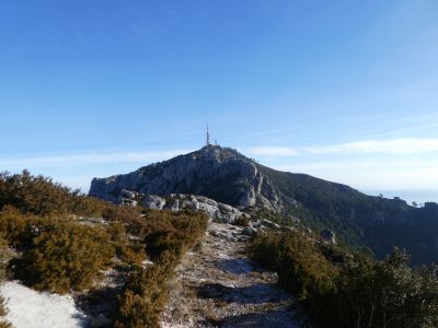Croisement Rodona