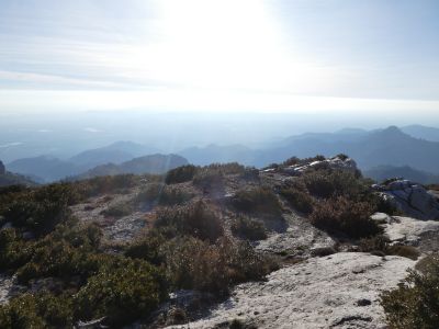 Descente Rodona