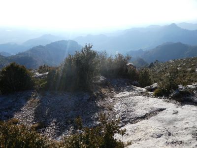 Croisement Rodona 2