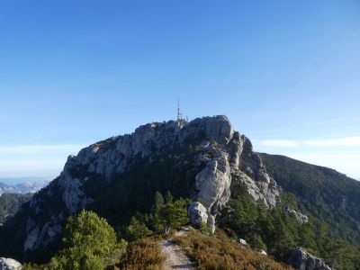 Vue Caro
