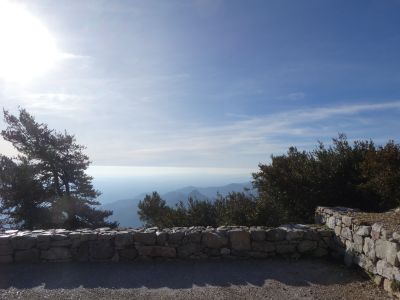 Croisement Caro