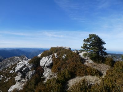 Vue Caro 2