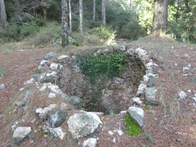 Vue Pimpollada