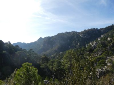 Vue Desferracavalls